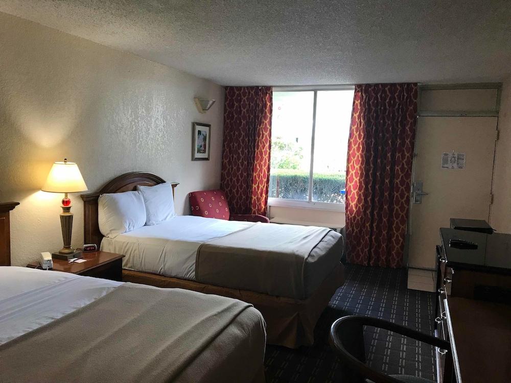 Quality Inn Tampa Lake Magdalene Eksteriør bilde