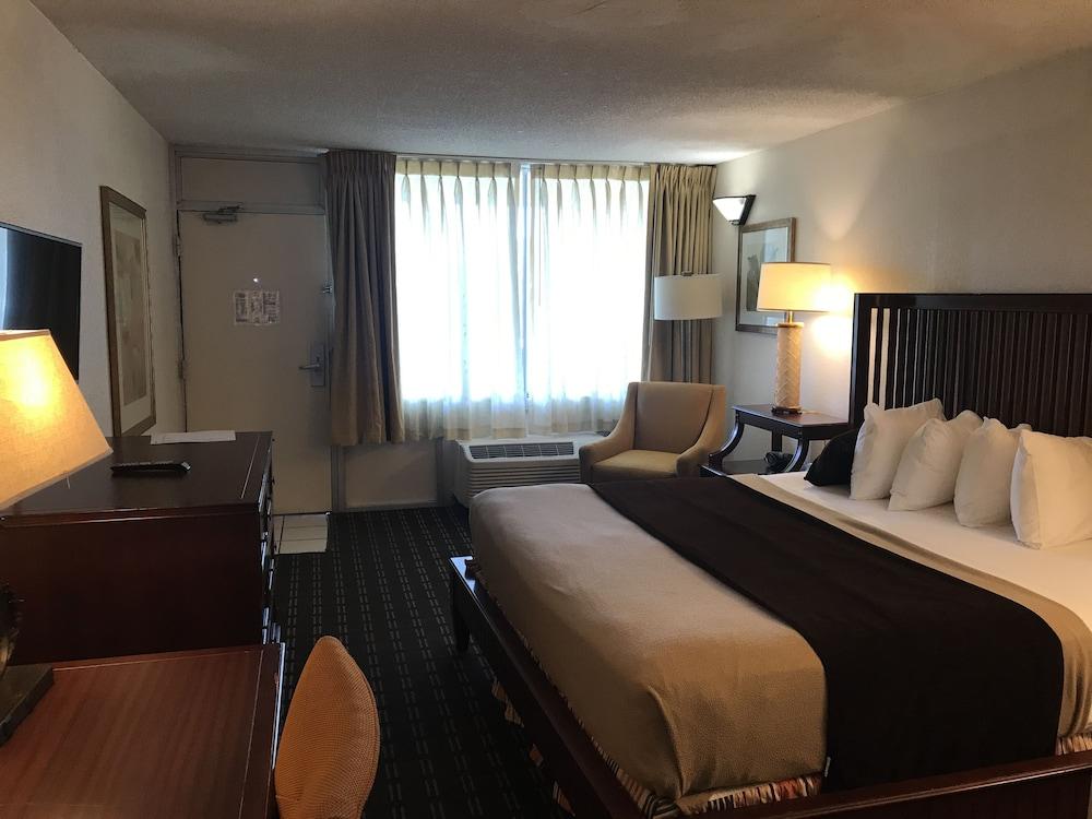 Quality Inn Tampa Lake Magdalene Eksteriør bilde