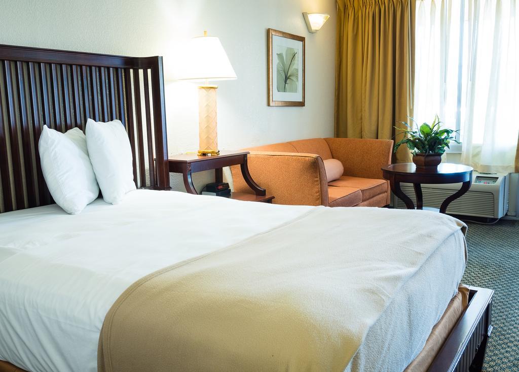 Quality Inn Tampa Lake Magdalene Eksteriør bilde