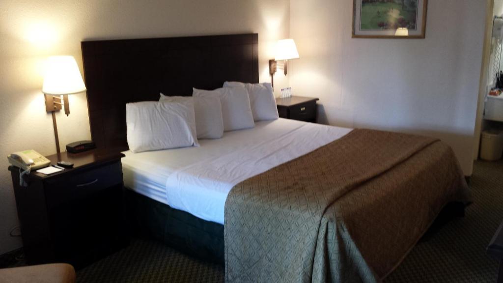 Quality Inn Tampa Lake Magdalene Rom bilde