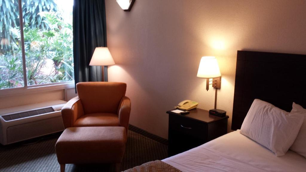 Quality Inn Tampa Lake Magdalene Rom bilde